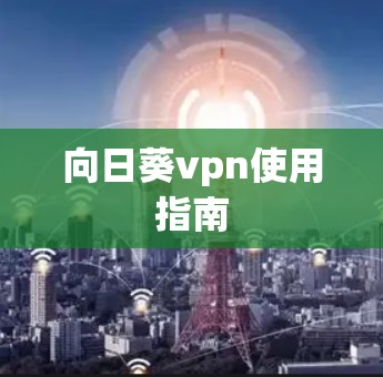 向日葵vpn使用指南