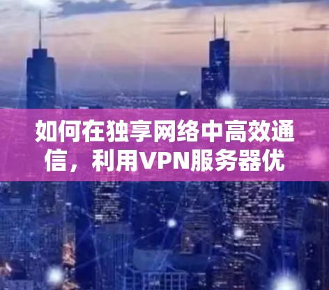 如何在独享网络中高效通信，利用VPN服务器优化数据传输