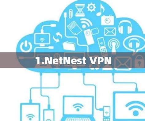 1.NetNest VPN