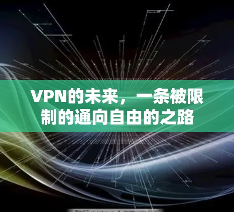 VPN的未来，一条被限制的通向自由的之路