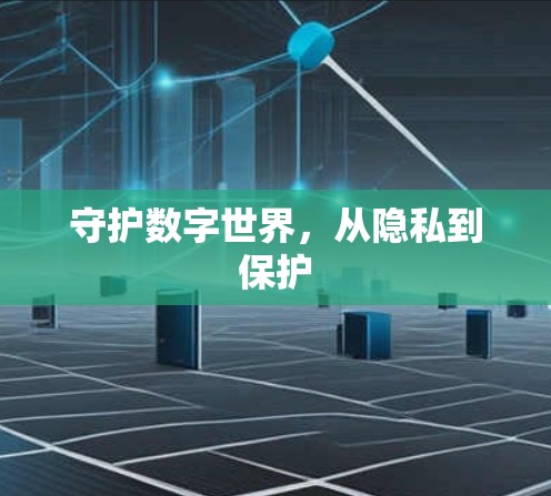 守护数字世界,从隐私到保护 守护数字世界,从隐私到保护