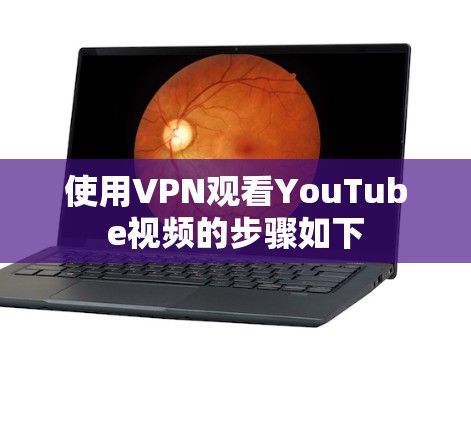 使用VPN观看YouTube视频的步骤如下