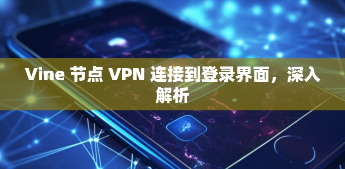 Vine 节点 VPN 连接到登录界面，深入解析