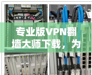 专业版VPN翻墙大师下载,为你的VPN之路保驾护航 专业版VPN翻墙大师下载,为你的VPN之路保驾护航