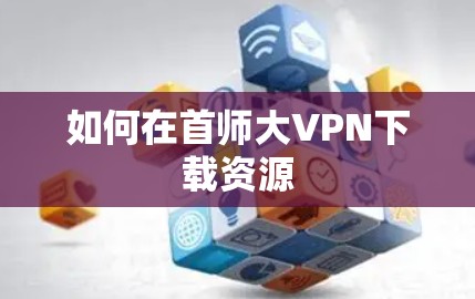 如何在首师大VPN下载资源