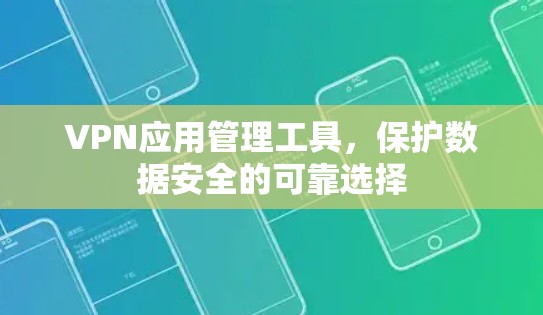 VPN应用管理工具，保护数据安全的可靠选择