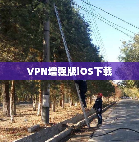 VPN增强版iOS下载