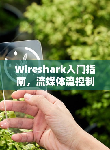Wireshark入门指南，流媒体流控制与流分析技术