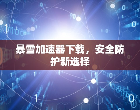 暴雪加速器下载，安全防护新选择