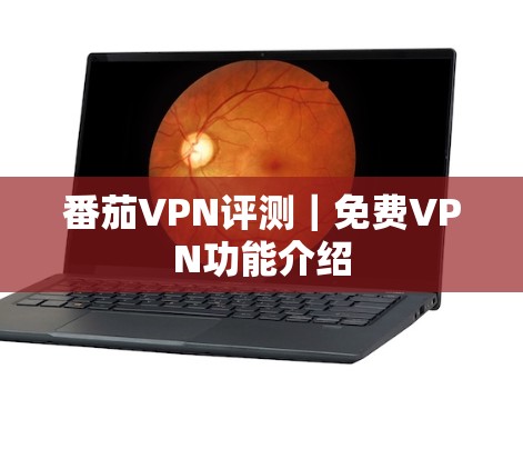 番茄VPN评测｜免费VPN功能介绍