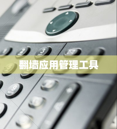 翻墙应用管理工具