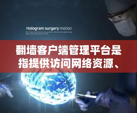 翻墙客户端管理平台是指提供访问网络资源、安装软件或下载文件的客户端，通常用于访问互联网资源或安装软件。以下是一些常见的翻墙客户端管理平台及其功能
