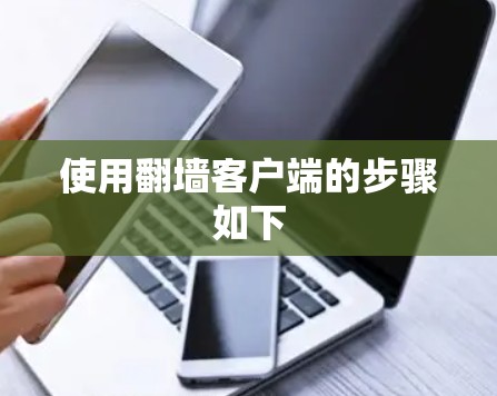 使用翻墙客户端的步骤如下 使用翻墙客户端的步骤如下