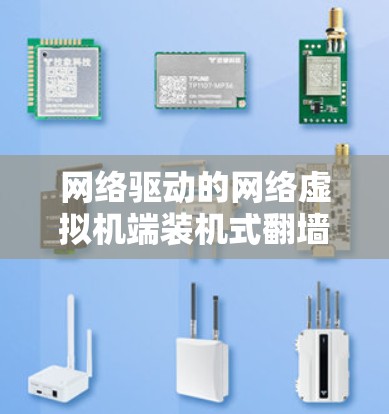 网络驱动的网络虚拟机端装机式翻墙软件
