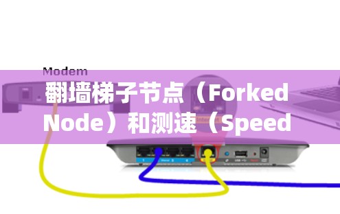 翻墙梯子节点(Forked Node)和测速(Speed Testing)是网络测试中的两个重要概念。以下是对这两个概念的详细解释和解决方案 翻墙梯子节点(Forked Node)和测速(Speed Testing)是网络测试中的两个重要概念。以下是对这两个概念的详细解释和解决方案
