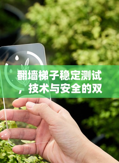翻墙梯子稳定测试,技术与安全的双重挑战 翻墙梯子稳定测试,技术与安全的双重挑战