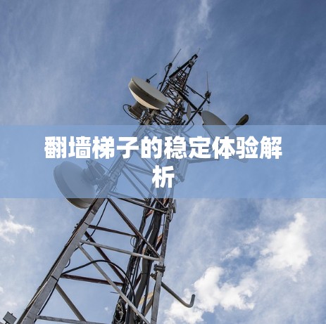 翻墙梯子的稳定体验解析