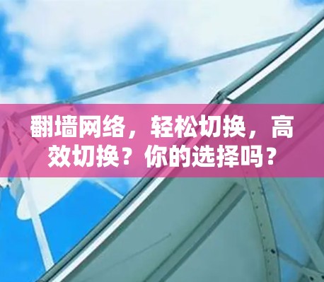 翻墙网络，轻松切换，高效切换？你的选择吗？