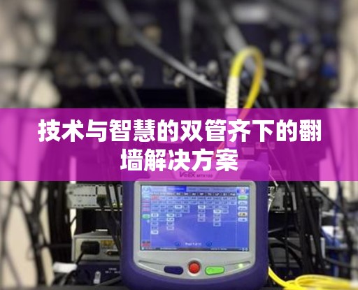 技术与智慧的双管齐下的翻墙解决方案 技术与智慧的双管齐下的翻墙解决方案