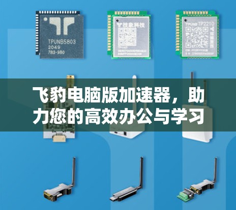 飞豹电脑版加速器，助力您的高效办公与学习