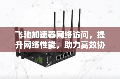 飞驰加速器网络访问，提升网络性能，助力高效协作