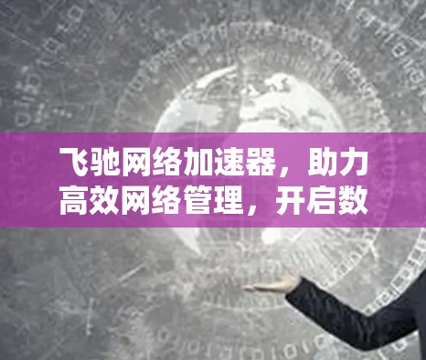 飞驰网络加速器，助力高效网络管理，开启数字时代新范式