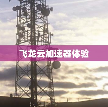 飞龙云加速器体验 飞龙云加速器体验