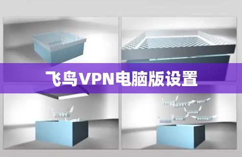 飞鸟VPN电脑版设置