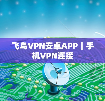 飞鸟VPN安卓APP｜手机VPN连接