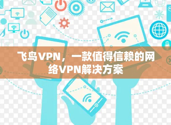 飞鸟VPN，一款值得信赖的网络VPN解决方案