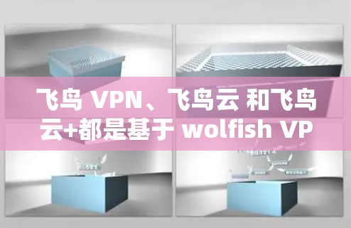 飞鸟 VPN、飞鸟云 和飞鸟云+都是基于 wolfish VPN协议的VPN服务，各有其独特的功能和适用场景。以下是对它们的详细介绍