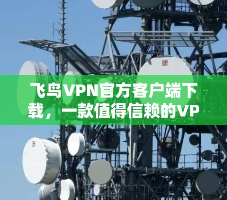 飞鸟VPN官方客户端下载，一款值得信赖的VPN选择