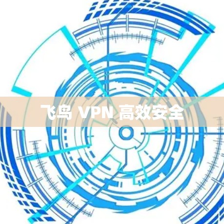 飞鸟 VPN 高效安全 飞鸟 VPN 高效安全