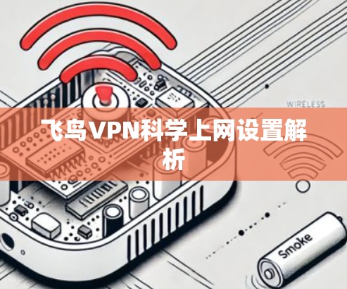飞鸟VPN科学上网设置解析 飞鸟VPN科学上网设置解析