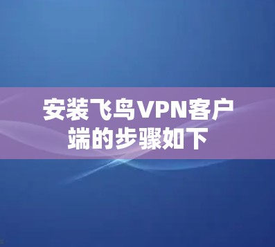 安装飞鸟VPN客户端的步骤如下 安装飞鸟VPN客户端的步骤如下