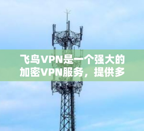 飞鸟VPN是一个强大的加密VPN服务，提供多种配置选项，适合个人和企业用户。以下是配置飞鸟VPN的详细步骤