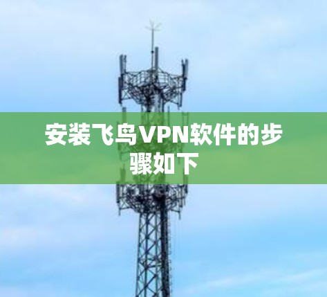 安装飞鸟VPN软件的步骤如下 安装飞鸟VPN软件的步骤如下