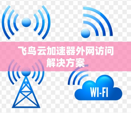 飞鸟云加速器外网访问解决方案 飞鸟云加速器外网访问解决方案