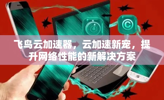 飞鸟云加速器,云加速新宠,提升网络性能的新解决方案 飞鸟云加速器,云加速新宠,提升网络性能的新解决方案