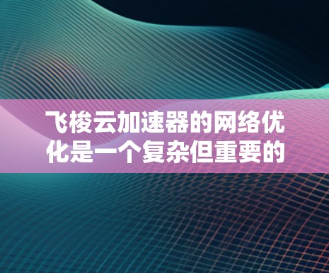 飞梭云加速器的网络优化是一个复杂但重要的任务，目的是确保其高效、安全、可扩展并满足用户需求。以下是一些优化的关键点和建议
