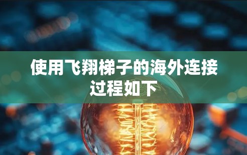 使用飞翔梯子的海外连接过程如下 使用飞翔梯子的海外连接过程如下