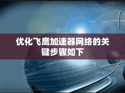 优化飞鹰加速器网络的关键步骤如下