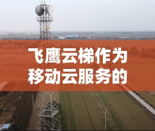飞鹰云梯作为移动云服务的一部分,为开发者提供了高效、灵活的解决方案,特别是在移动设备上运行的应用。以下是对飞鹰云梯的详细介绍 飞鹰云梯作为移动云服务的一部分,为开发者提供了高效、灵活的解决方案,特别是在移动设备上运行的应用。以下是对飞鹰云梯的详细介绍