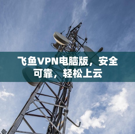 飞鱼VPN电脑版,安全可靠,轻松上云 飞鱼VPN电脑版,安全可靠,轻松上云