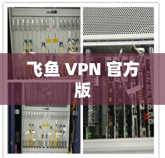 飞鱼 VPN 官方版