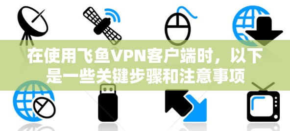 在使用飞鱼VPN客户端时，以下是一些关键步骤和注意事项
