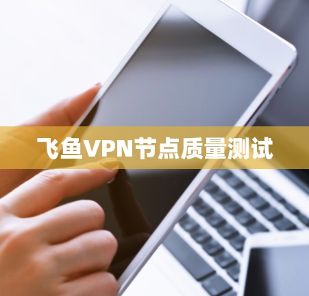 飞鱼VPN节点质量测试 飞鱼VPN节点质量测试