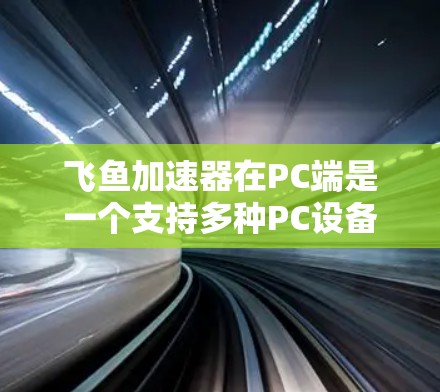 飞鱼加速器在PC端是一个支持多种PC设备的工具，旨在提升手机和电脑的性能。以下是关于飞鱼加速器PC端的详细分析