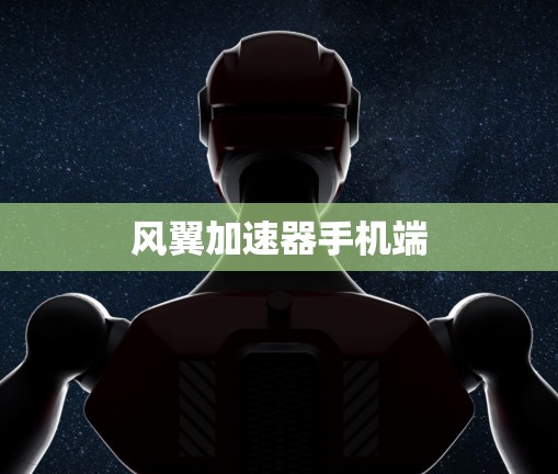 风翼加速器手机端
