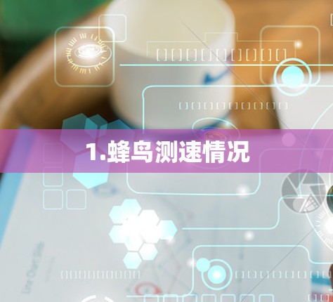 1.蜂鸟测速情况